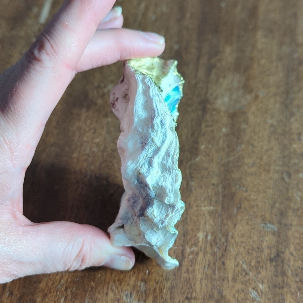 Decorative Shells - Picture 3 of 9